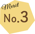 Merit No.3