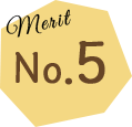 Merit No.5